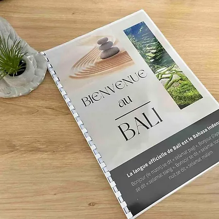 Apartment Cosy Bali 1 A 4 Pers Porte Du Futuroscope